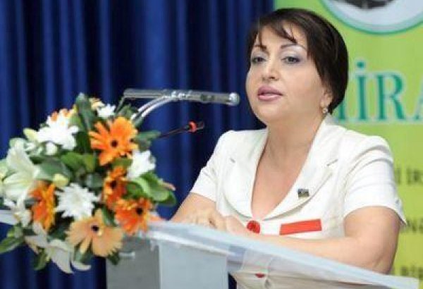 Развитие и достижения Азербайджана высоко оцениваются на международном уровне - депутат