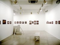 "Nostalgia, pluralia tantum": в Баку открылась выставка известного молдавского художника (ФОТО)