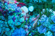 YARAT  провел потрясающий вечер живой музыки с Самирой Эфендиевой (ФОТО)