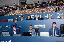 Стартовал второй день соревнований XXIII Чемпионата и Первенства Баку по художественной гимнастике (ФОТО)