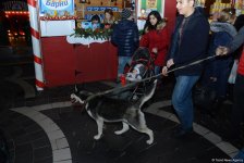 В Баку открылась благотворительная ярмарка "Холодные руки - горячее сердце" (ФОТО)