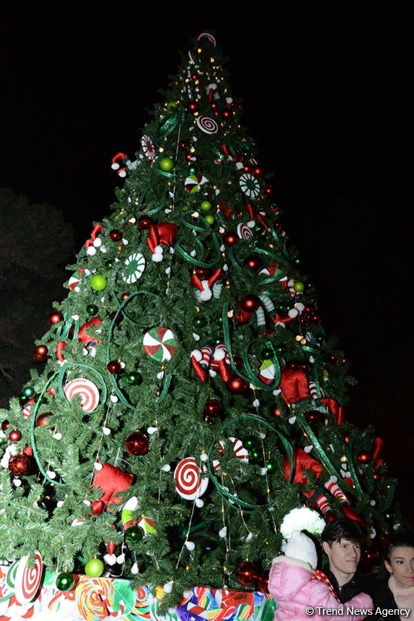 В Баку открылась благотворительная ярмарка "Холодные руки - горячее сердце" (ФОТО)