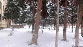 Снег в Баку (ФОТОСЕССИЯ)