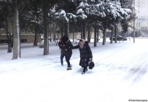 Снег в Баку (ФОТОСЕССИЯ)