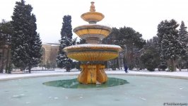 Снег в Баку (ФОТОСЕССИЯ)