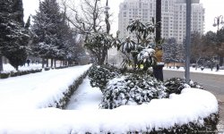 Снег в Баку (ФОТОСЕССИЯ)