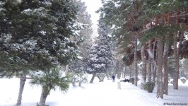 Снег в Баку (ФОТОСЕССИЯ)