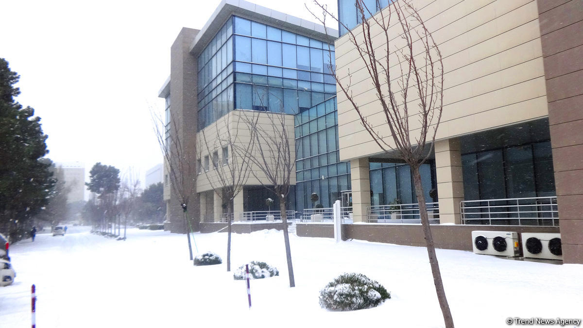 Снег в Баку (ФОТОСЕССИЯ)