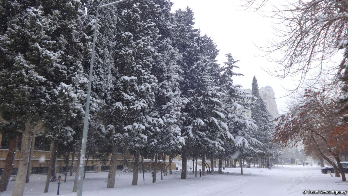 Снег в Баку (ФОТОСЕССИЯ)