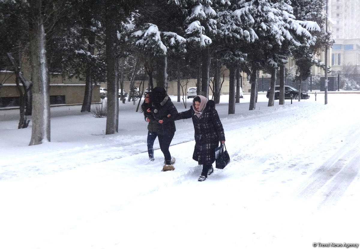 Снег в Баку (ФОТОСЕССИЯ)