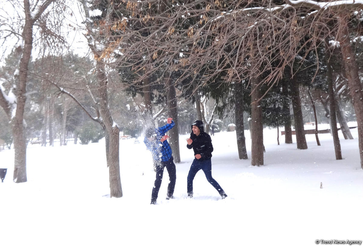 Снег в Баку (ФОТОСЕССИЯ)