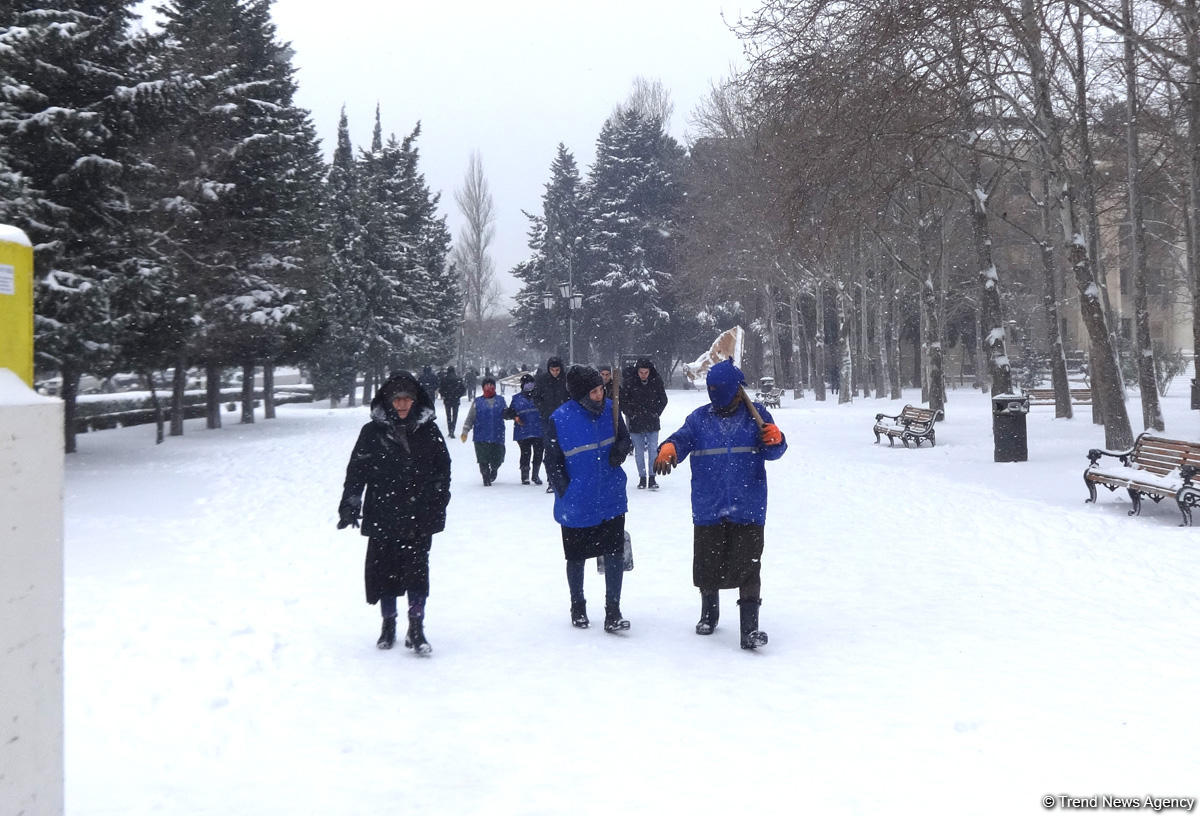 Снег в Баку (ФОТОСЕССИЯ)