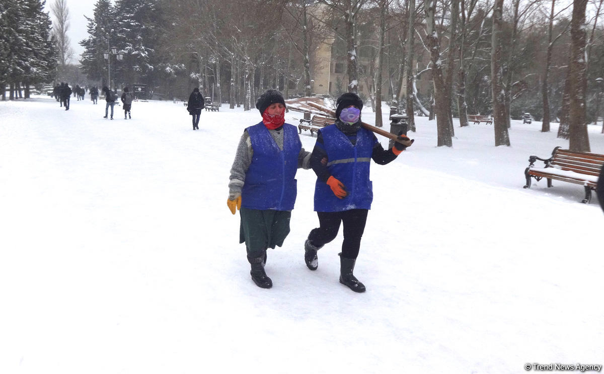 Снег в Баку (ФОТОСЕССИЯ)