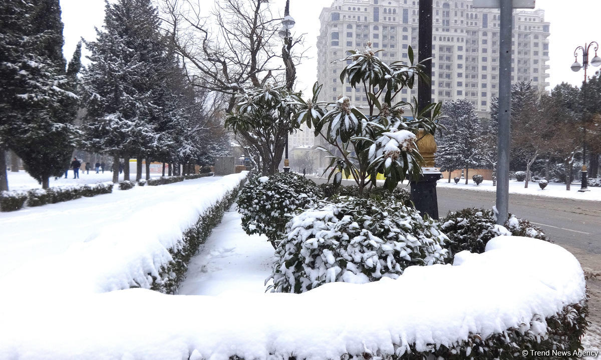 Снег в Баку (ФОТОСЕССИЯ)