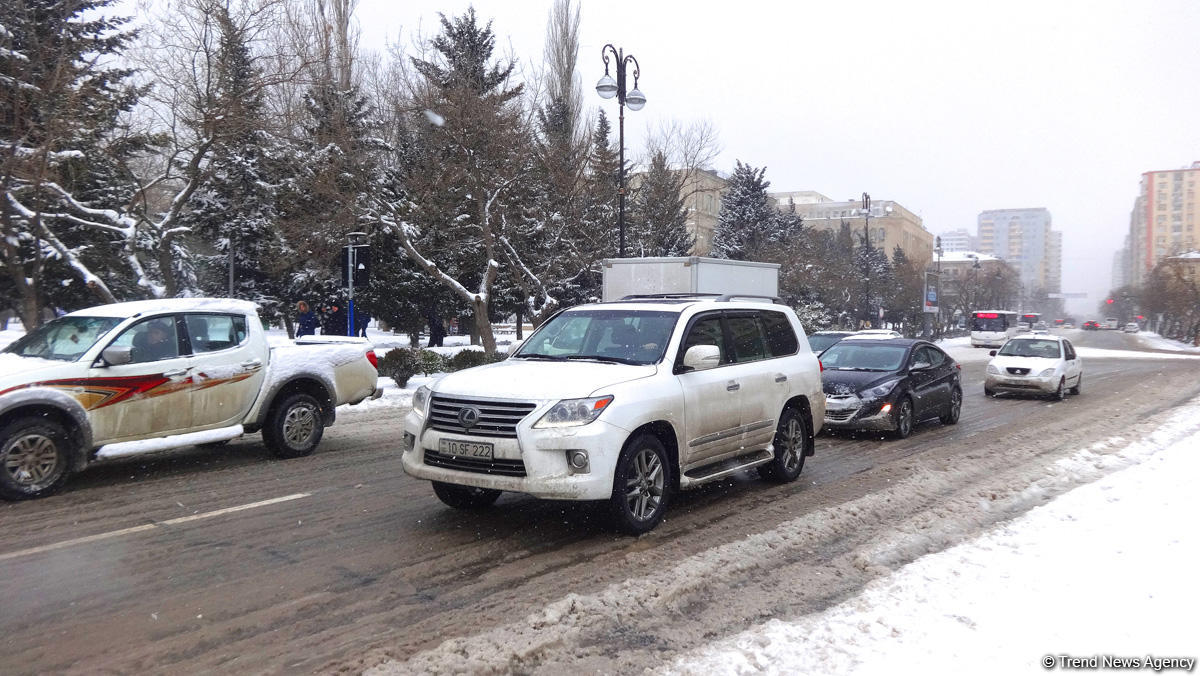 Снег в Баку (ФОТОСЕССИЯ)