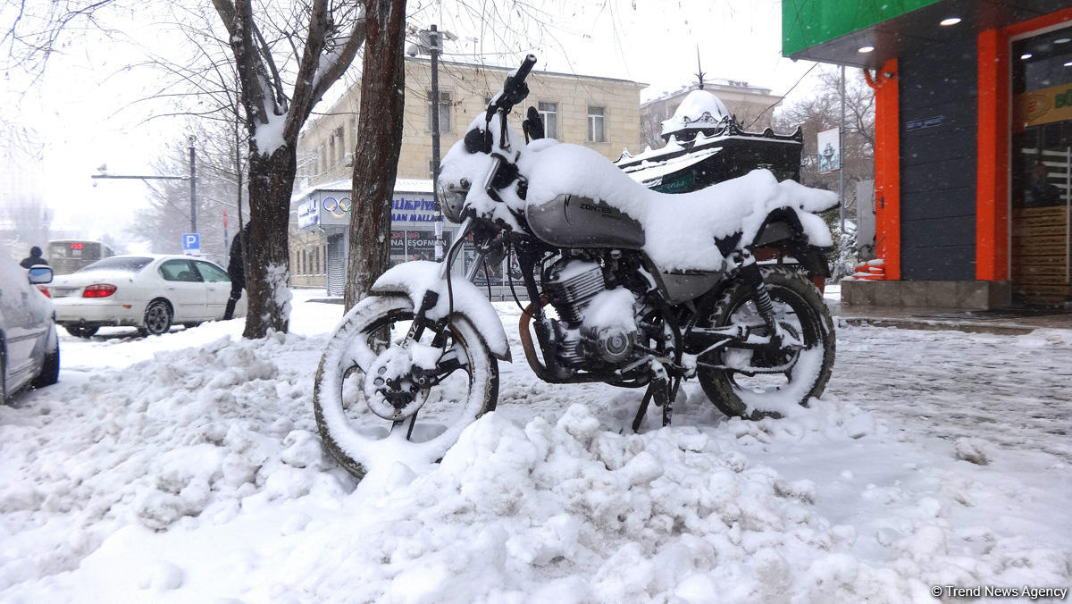 Снег в Баку (ФОТОСЕССИЯ)