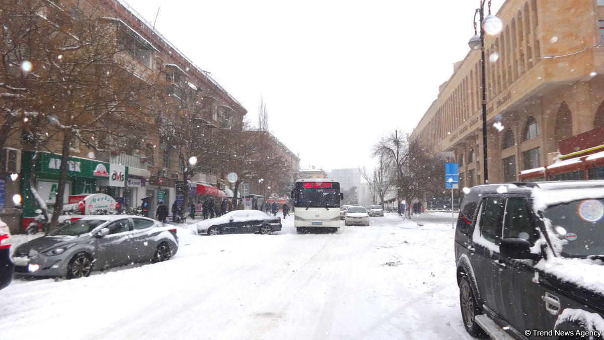 Снег в Баку (ФОТОСЕССИЯ)