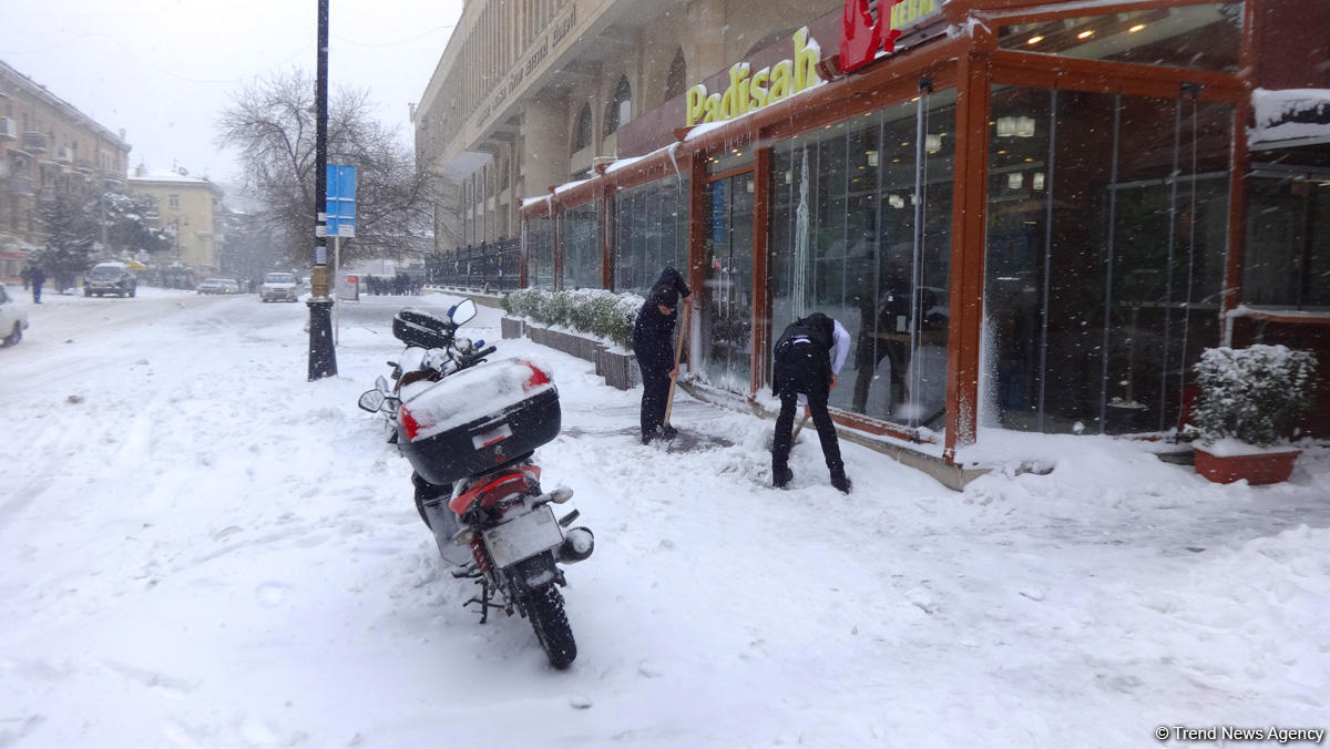 Снег в Баку (ФОТОСЕССИЯ)