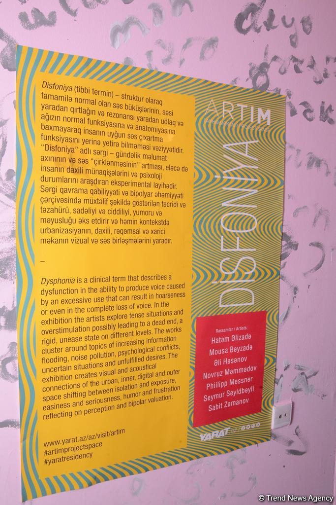 В проектном пространстве ARTIM открылась выставка "Дисфония" (ФОТО)