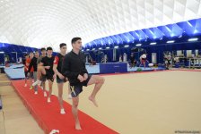 Азербайджанские спортсмены готовятся к Кубку мира по спортивной гимнастике (ФОТОРЕПОРТАЖ)