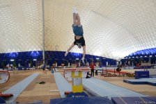 Азербайджанские спортсмены готовятся к Кубку мира по спортивной гимнастике (ФОТОРЕПОРТАЖ)