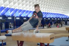 Азербайджанские спортсмены готовятся к Кубку мира по спортивной гимнастике (ФОТОРЕПОРТАЖ)