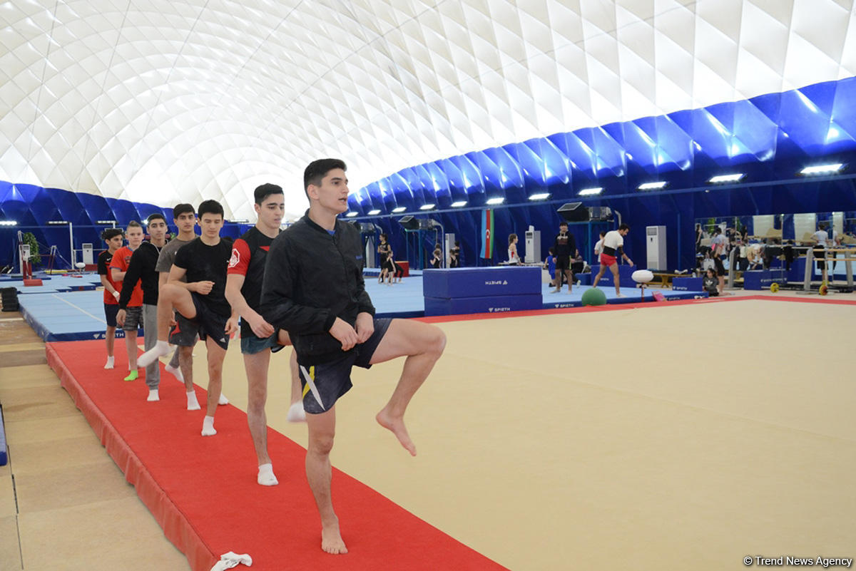 Азербайджанские спортсмены готовятся к Кубку мира по спортивной гимнастике (ФОТОРЕПОРТАЖ)