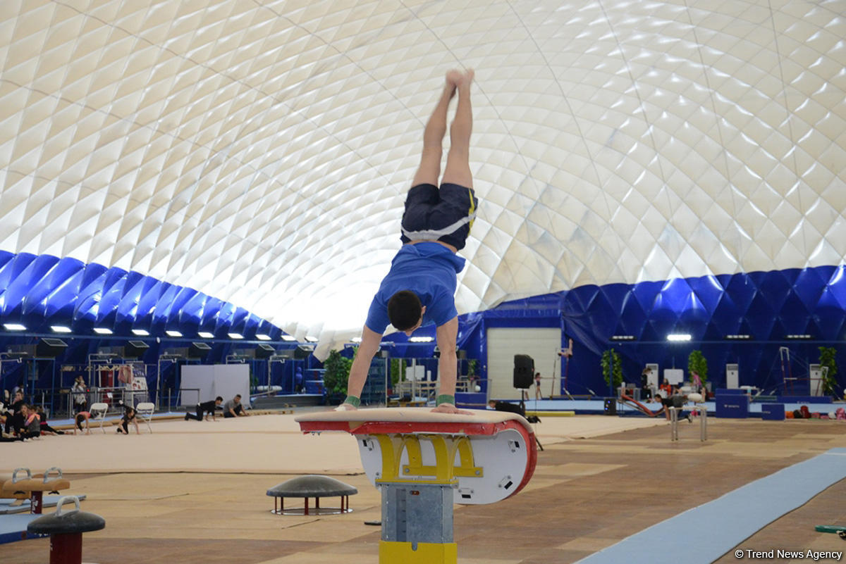 Азербайджанские спортсмены готовятся к Кубку мира по спортивной гимнастике (ФОТОРЕПОРТАЖ)