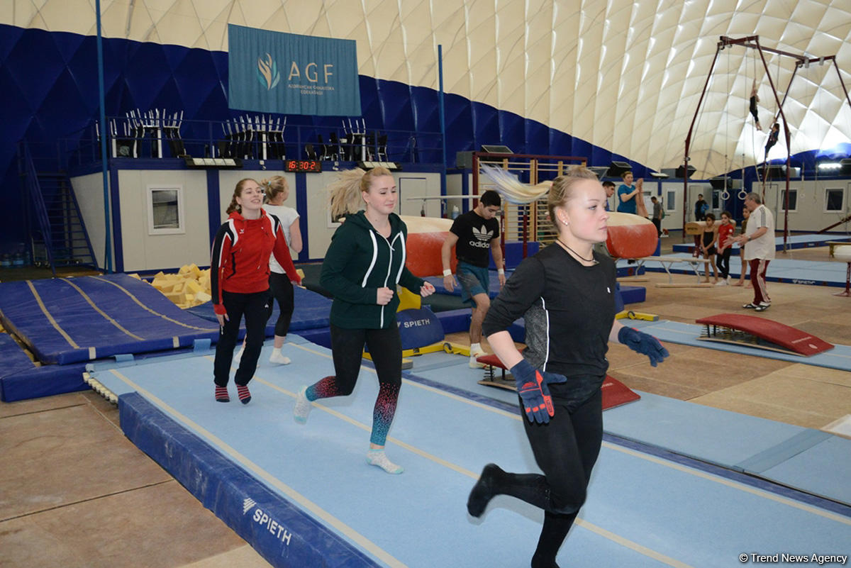 Азербайджанские спортсмены готовятся к Кубку мира по спортивной гимнастике (ФОТОРЕПОРТАЖ)