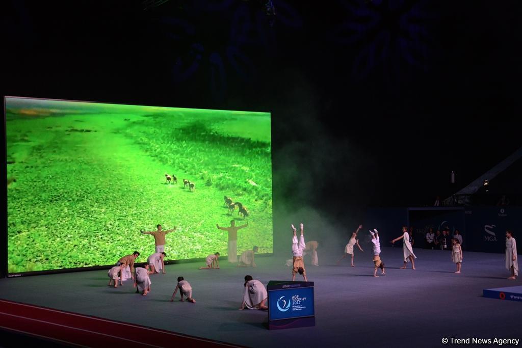 В Баку прошла церемония открытия Кубка мира FIG по прыжкам на батуте и тамблингу (ФОТОРЕПОРТАЖ)