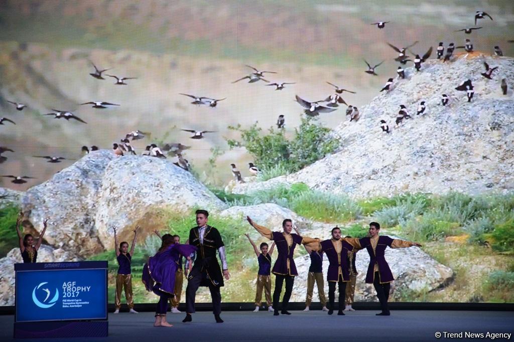 В Баку прошла церемония открытия Кубка мира FIG по прыжкам на батуте и тамблингу (ФОТОРЕПОРТАЖ)