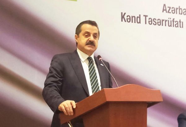 Объем торговли сельхозпродукцией между Азербайджаном и Турцией необходимо увеличить - министр