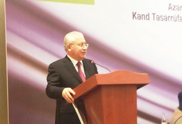 Азербайджан предложил Турции изменить формат экономсотрудничества (ФОТО)