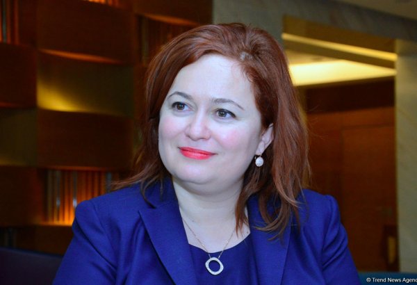 Подготовлен план реализации проекта транзита азербайджанского газа в Болгарию