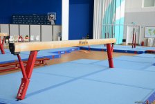 Кубок мира по спортивной гимнастике в Баку ждет своих участников (ФОТОРЕПОРТАЖ)