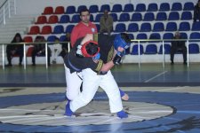 Определились победители чемпионата Азербайджана по алпагуту – праздничный концерт  (ФОТО)