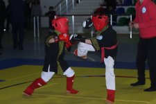 Определились победители чемпионата Азербайджана по алпагуту – праздничный концерт  (ФОТО)