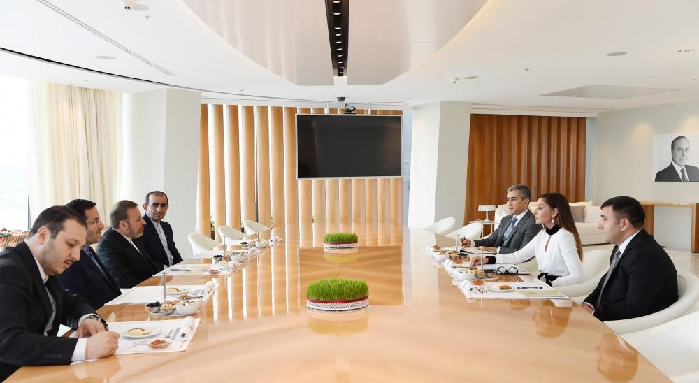 Первый вице-президент Азербайджана  приняла делегацию  по главе с министром связи Ирана (ФОТО)