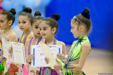 Фарид Гаибов: Организация спортклубами гимнастических соревнований для детей – большая поддержка нашей Федерации (ФОТО)