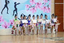 Фарид Гаибов: Организация спортклубами гимнастических соревнований для детей – большая поддержка нашей Федерации (ФОТО)