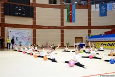 Фарид Гаибов: Организация спортклубами гимнастических соревнований для детей – большая поддержка нашей Федерации (ФОТО)