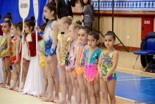 Фарид Гаибов: Организация спортклубами гимнастических соревнований для детей – большая поддержка нашей Федерации (ФОТО)