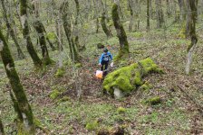 В Азербайджане определены победители по спортивному ориентированию (ФОТО)
