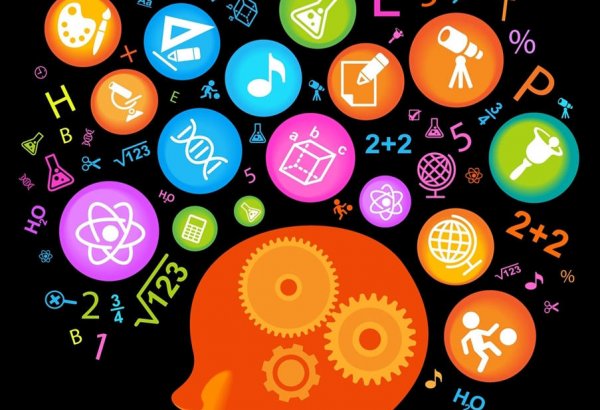 "Что-то с памятью моей стало..." Что делать? (ФОТО)