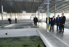 Президент Ильхам Алиев принял участие в открытии Варваринского предприятия по разведению рыбы (ФОТО) (версия 2)