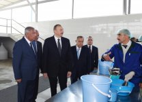 Президент Ильхам Алиев принял участие в открытии Варваринского предприятия по разведению рыбы (ФОТО) (версия 2)