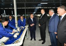 Президент Ильхам Алиев принял участие в открытии Варваринского предприятия по разведению рыбы (ФОТО) (версия 2)