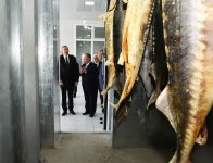 Президент Ильхам Алиев принял участие в открытии Варваринского предприятия по разведению рыбы (ФОТО) (версия 2)