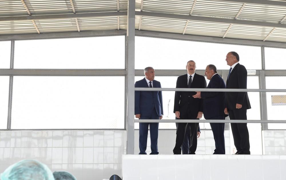 Президент Ильхам Алиев принял участие в открытии Варваринского предприятия по разведению рыбы (ФОТО) (версия 2)