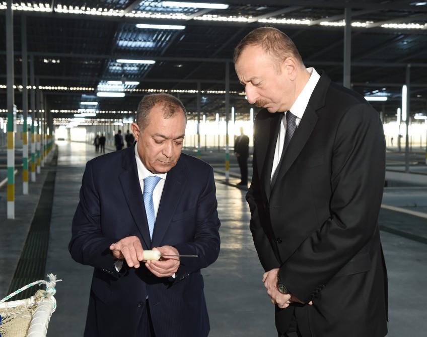 Президент Ильхам Алиев принял участие в открытии Варваринского предприятия по разведению рыбы (ФОТО) (версия 2)